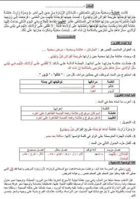تمارين الإحتمالات مع الحل تحضيرا للبكالوريا