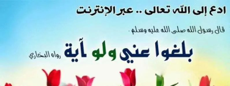 الدعوة الى الله عن طريق الانترنيت