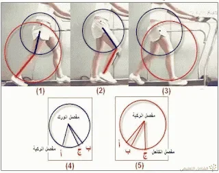 البايوميكانيك في الحركات الرياضية | منصة الشامل التعليمية