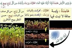 تفسير بالصور لبعض معاني القرآن الكريم