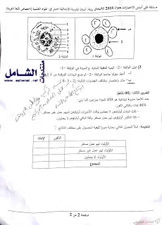 الاختبارات الكتابية لمسابقة توظيف الأساتذة بعنوان جوان 2018 | منصة الشامل التعليمية