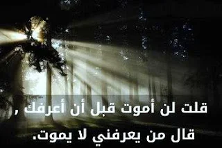نفحات من أقوال جلال الدين الرومي
