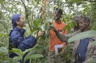 بحث بالفرنسية LA PRÉSERVATION DE L’ENVIRONNEMENT
