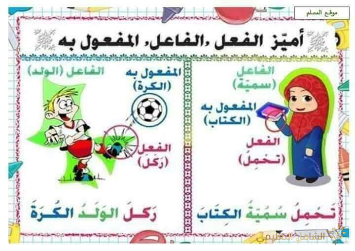 ملخص قواعد اللغة العربية في التعليم الإبتدائى | منصة الشامل التعليمية