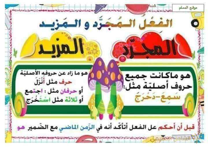ملخص قواعد اللغة العربية في التعليم الإبتدائى | منصة الشامل التعليمية
