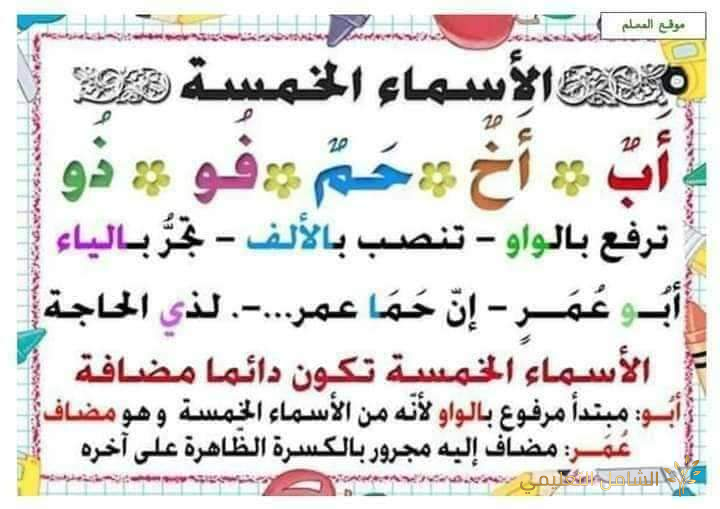 ملخص قواعد اللغة العربية في التعليم الإبتدائى | منصة الشامل التعليمية