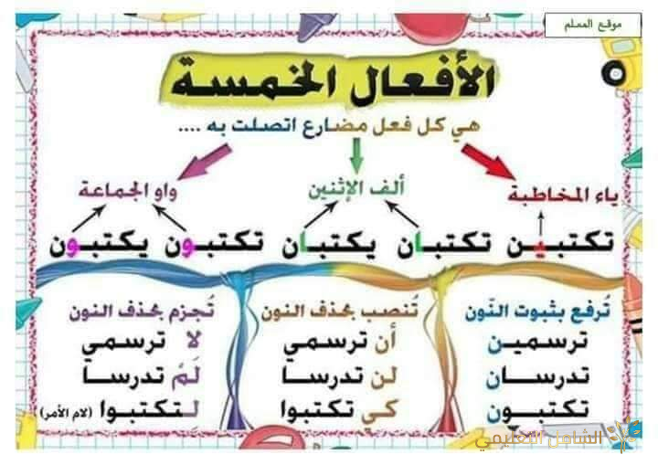 ملخص قواعد اللغة العربية في التعليم الإبتدائى | منصة الشامل التعليمية