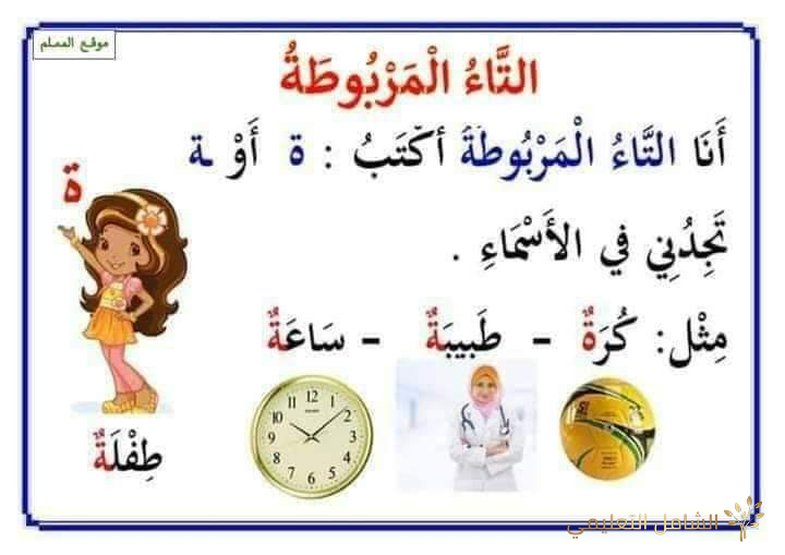 ملخص قواعد اللغة العربية في التعليم الإبتدائى | منصة الشامل التعليمية
