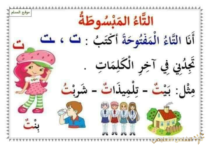 ملخص قواعد اللغة العربية في التعليم الإبتدائى | منصة الشامل التعليمية