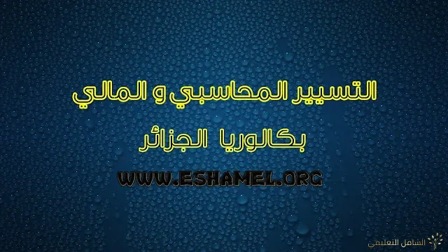 عملية إنشاء مدونة احترافية عبر WordPress - خطوة بخطوة