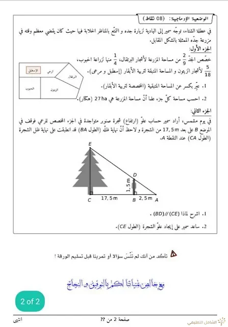 نموذجان لاختبارات السنة الثالثة متوسط | منصة الشامل التعليمية