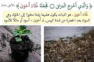 تفسير بالصور لبعض معاني القرآن الكريم