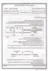 إختبارات الفصول الثلاثة في مادة العلوم الطبيعية للسنة الثالثة ثانوي شعبة علوم تجريبية | منصة الشامل التعليمية