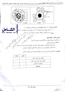 الاختبارات الكتابية لمسابقة توظيف الأساتذة بعنوان جوان 2018