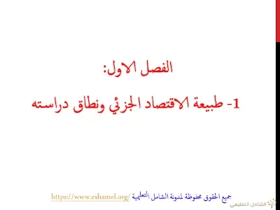 سلسلة محاضرات في مقياس الاقتصاد الجزئي - بالفيديو | منصة الشامل التعليمية