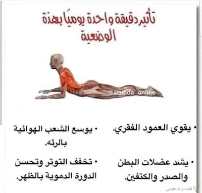 4 فوائد في 30 ثانية فقط من تمرين بلانك | منصة الشامل التعليمية