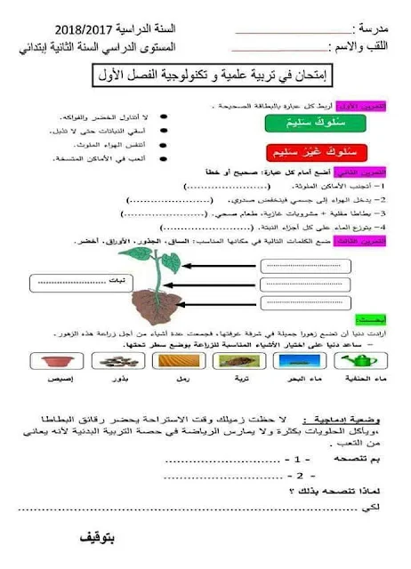 نماذج اختبارات التربية العلمية للثانية إبتدائي الفصل الأول
