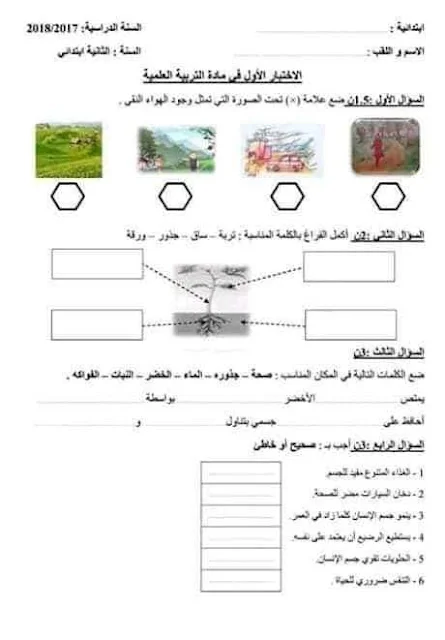 نماذج اختبارات التربية العلمية للثانية إبتدائي الفصل الأول