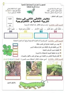 اختبارات الثلاثي الثاني للسنة الثالثة إبتدائي
