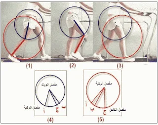 البايوميكانيك في الحركات الرياضية