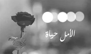سلاسل تمارين متنوعة في الرياضيات للرابعة متوسط