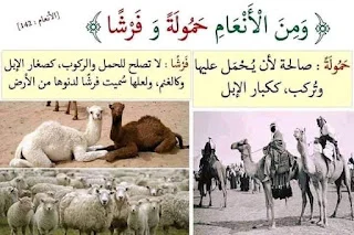 تفسير بالصور لبعض معاني القرآن الكريم