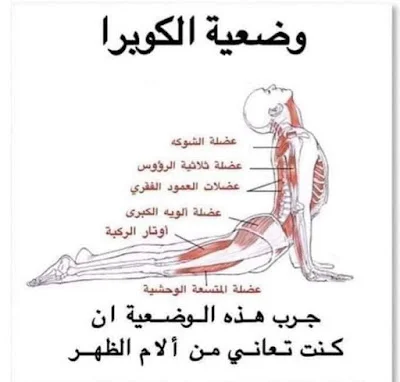 4 فوائد في 30 ثانية فقط من تمرين بلانك
