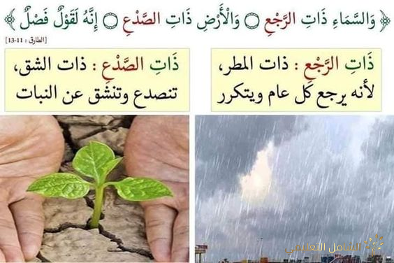 تفسير بالصور لبعض معاني القرآن الكريم | منصة الشامل التعليمية