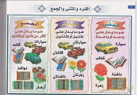 تفسير بالصور لبعض معاني القرآن الكريم | منصة الشامل التعليمية