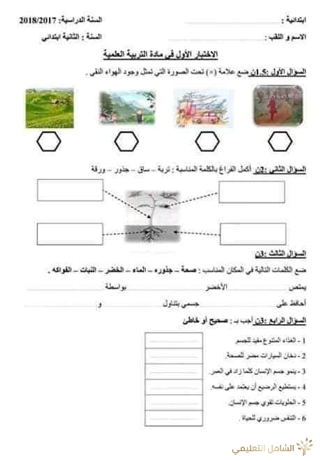 نماذج اختبارات التربية العلمية للثانية إبتدائي الفصل الأول | منصة الشامل التعليمية